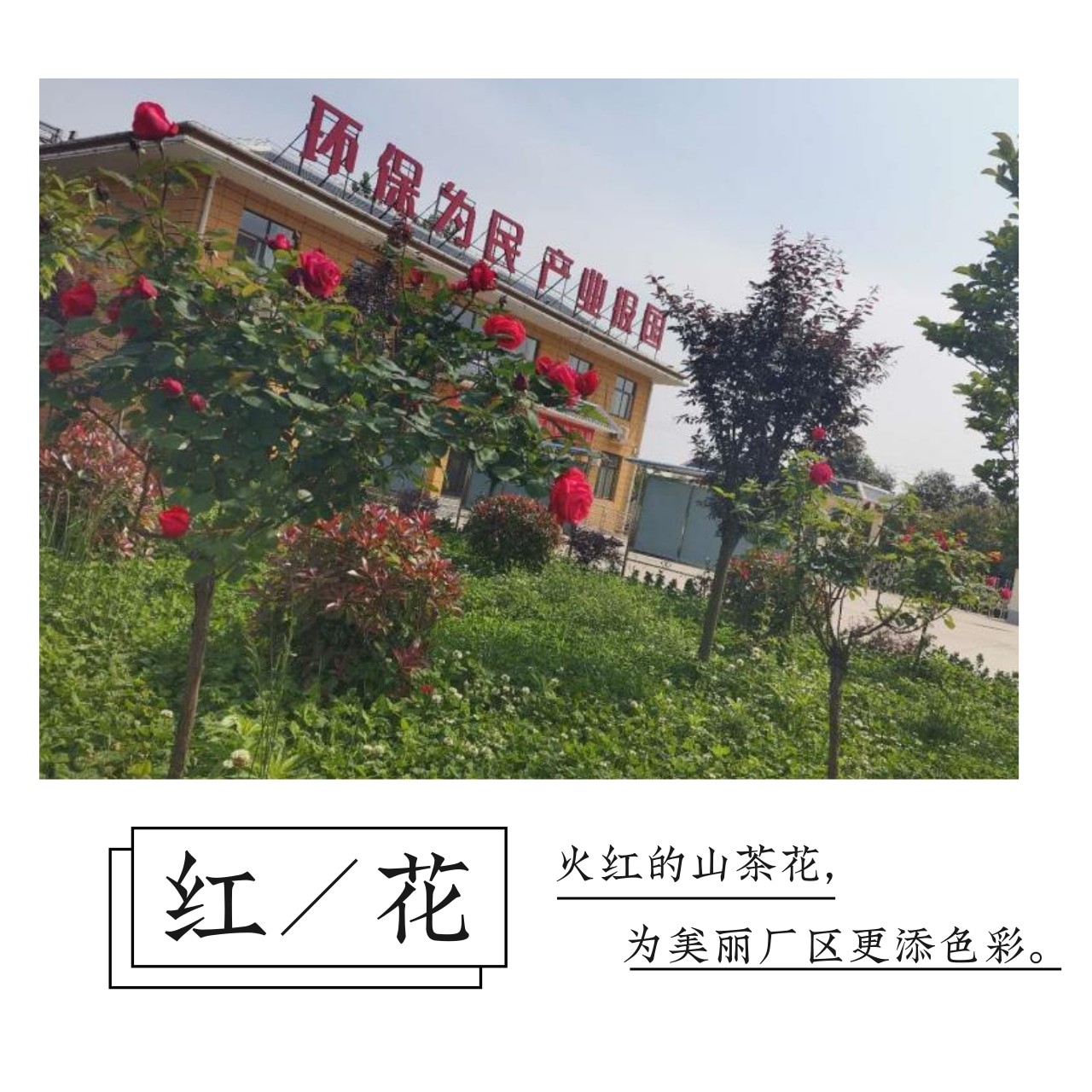 海洋之神·hy590(中国)最新官方网站