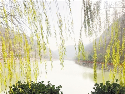 中国情形报：守护三秦大地绿水青山——海洋之神集团建设以来，，，，，成为陕西污染防治的排头兵