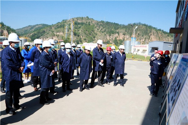 海洋之神集团复工复产促增添项目观摩聚会与会职员走进环保保隆生态三秦在延在铜项目