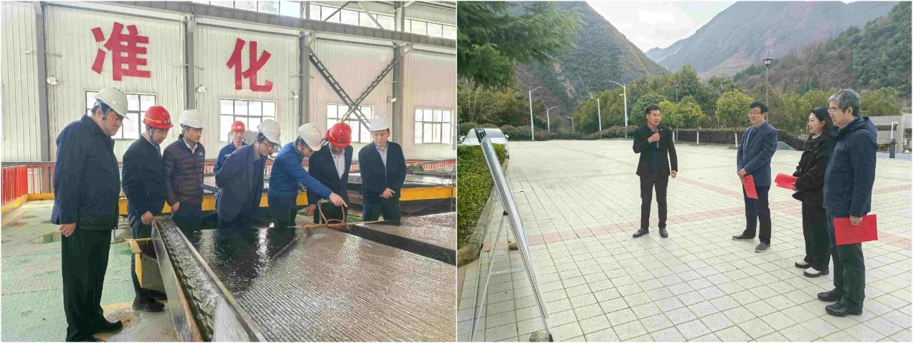 海洋之神集团外部董事赴鼎丰矿业公司、水情形公司镇安污水处置惩罚厂调研指导事情